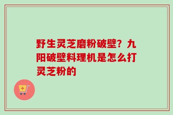 野生灵芝磨粉破壁？九阳破壁料理机是怎么打灵芝粉的