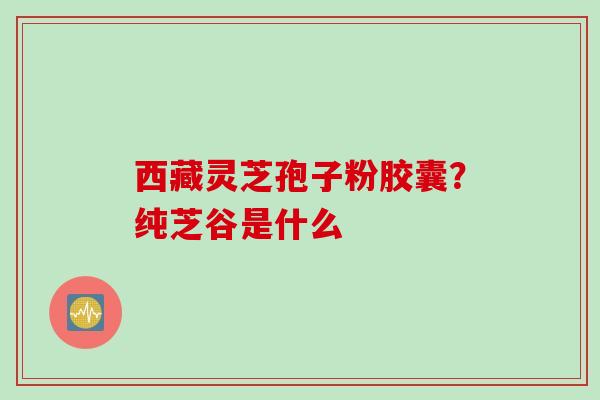 西藏灵芝孢子粉胶囊？纯芝谷是什么