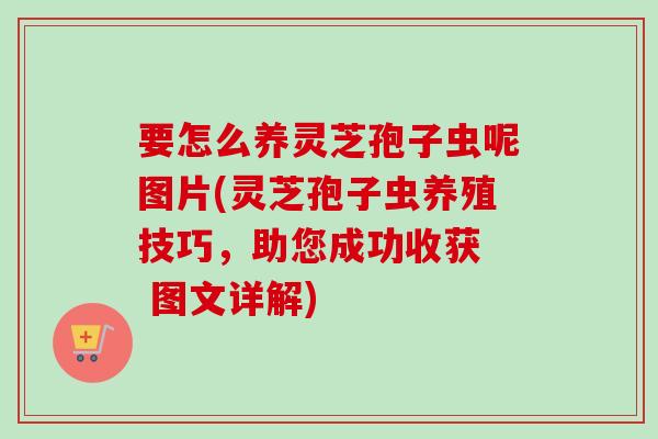 要怎么养灵芝孢子虫呢图片(灵芝孢子虫养殖技巧,助您成功收获 图文详解) 要怎么养灵芝孢子虫呢图片(灵芝孢子虫养殖技巧,助您成功收获 图文详解)