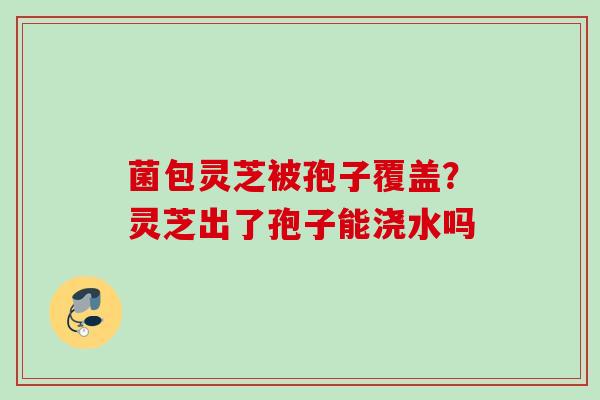菌包灵芝被孢子覆盖？灵芝出了孢子能浇水吗