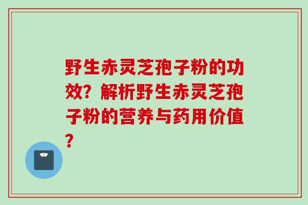 野生赤灵芝孢子粉的功效？解析野生赤灵芝孢子粉的营养与药用价值？