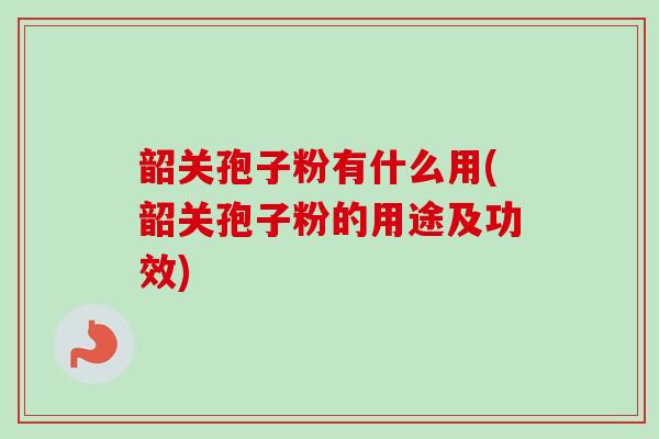 韶关孢子粉有什么用(韶关孢子粉的用途及功效)
