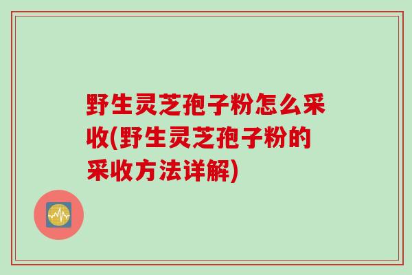 野生灵芝孢子粉怎么采收(野生灵芝孢子粉的采收方法详解) 野生灵芝孢子粉怎么采收(野生灵芝孢子粉的采收方法详解)