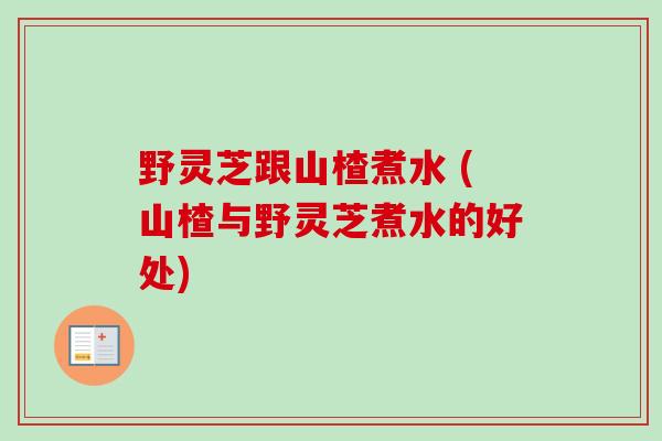 野灵芝跟山楂煮水 (山楂与野灵芝煮水的好处)