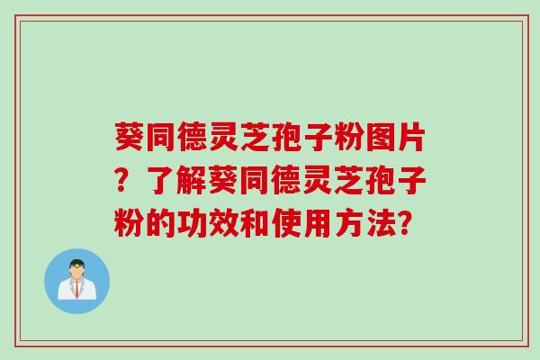 葵同德灵芝孢子粉图片？了解葵同德灵芝孢子粉的功效和使用方法？