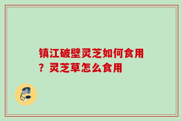 镇江破壁灵芝如何食用？灵芝草怎么食用