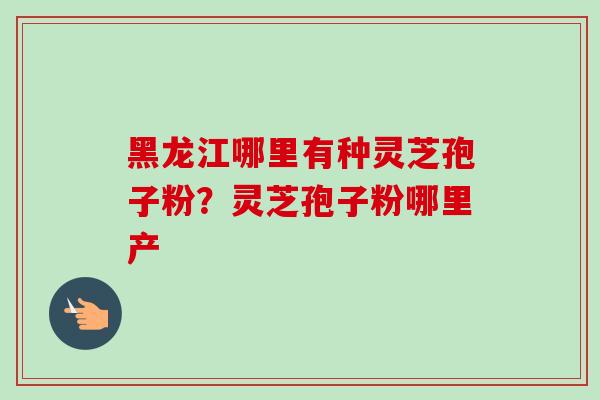 黑龙江哪里有种灵芝孢子粉？灵芝孢子粉哪里产