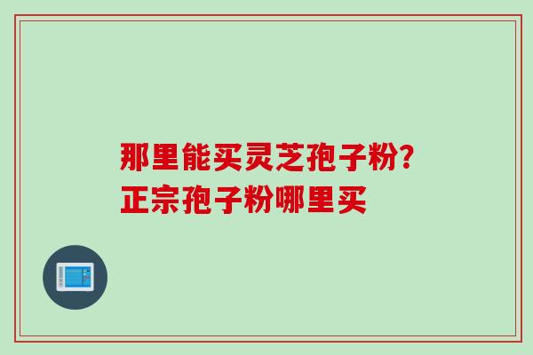 那里能买灵芝孢子粉?正宗孢子粉哪里买 那里能买灵芝孢子粉?正宗孢子粉哪里买