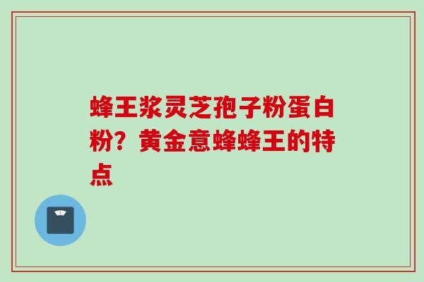 蜂王浆灵芝孢子粉蛋白粉？黄金意蜂蜂王的特点