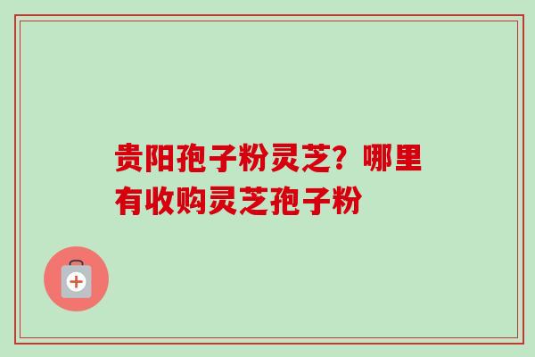 贵阳孢子粉灵芝？哪里有收购灵芝孢子粉
