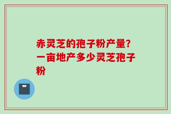 赤灵芝的孢子粉产量？一亩地产多少灵芝孢子粉