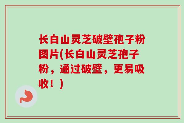 长白山灵芝破壁孢子粉图片(长白山灵芝孢子粉,通过破壁,更易吸收!) 长白山灵芝破壁孢子粉图片(长白山灵芝孢子粉,通过破壁,更易吸收!)