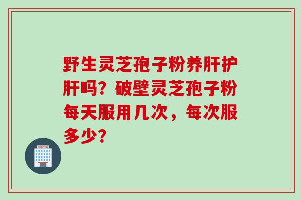 野生灵芝孢子粉养肝护肝吗？破壁灵芝孢子粉每天服用几次，每次服多少？