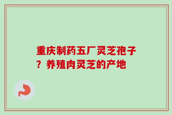 重庆制药五厂灵芝孢子？养殖肉灵芝的产地