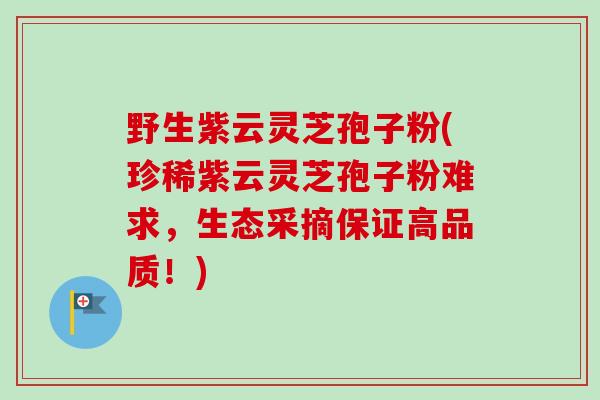野生紫云灵芝孢子粉(珍稀紫云灵芝孢子粉难求，生态采摘保证高品质！)