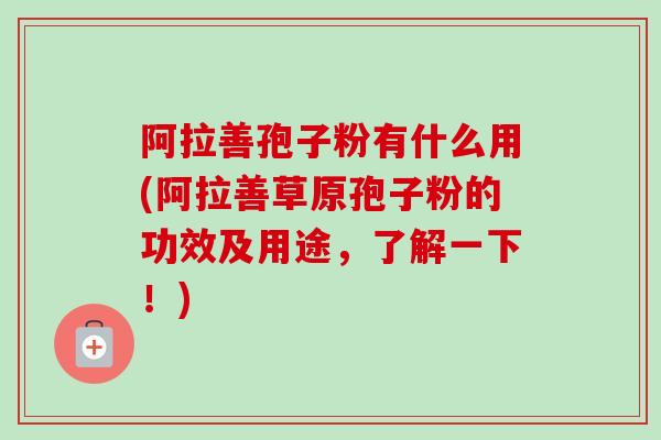 阿拉善孢子粉有什么用(阿拉善草原孢子粉的功效及用途，了解一下！)