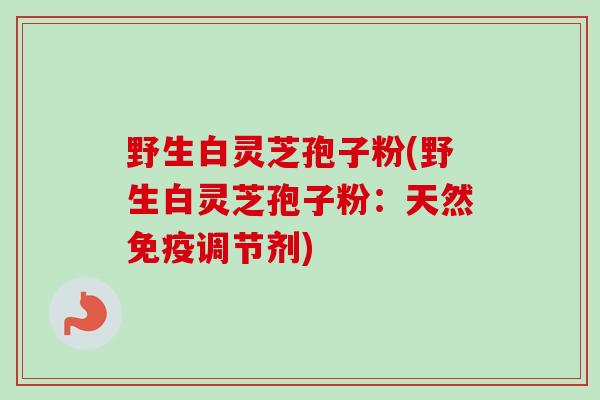 野生白灵芝孢子粉(野生白灵芝孢子粉：天然免疫调节剂)