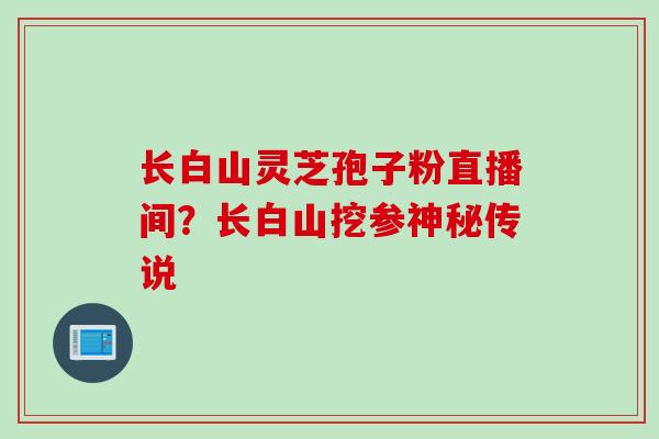 长白山灵芝孢子粉直播间？长白山挖参神秘传说