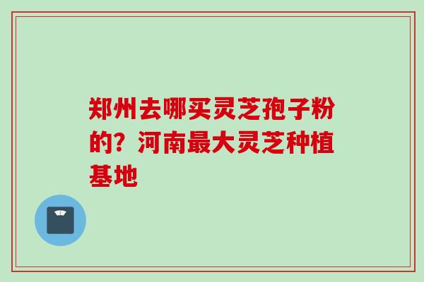 郑州去哪买灵芝孢子粉的？河南最大灵芝种植基地
