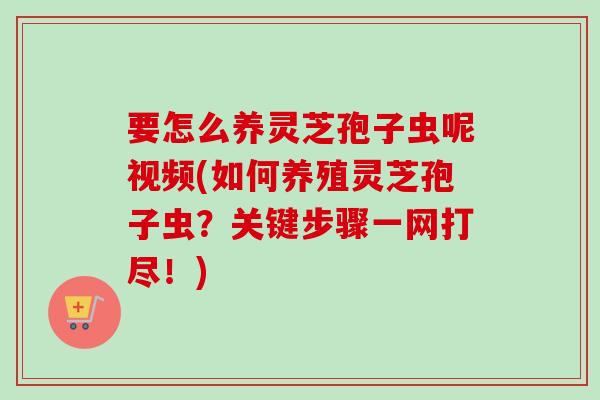 要怎么养灵芝孢子虫呢视频(如何养殖灵芝孢子虫？关键步骤一网打尽！)