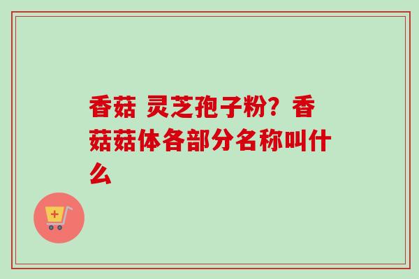 香菇 灵芝孢子粉？香菇菇体各部分名称叫什么