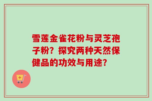 雪莲金雀花粉与灵芝孢子粉？探究两种天然保健品的功效与用途？