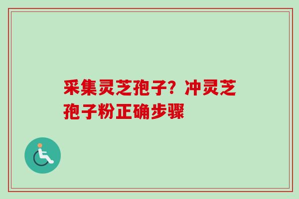 采集灵芝孢子？冲灵芝孢子粉正确步骤