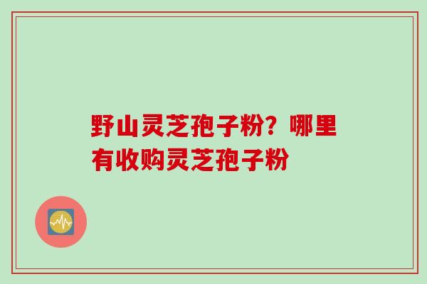 野山灵芝孢子粉？哪里有收购灵芝孢子粉