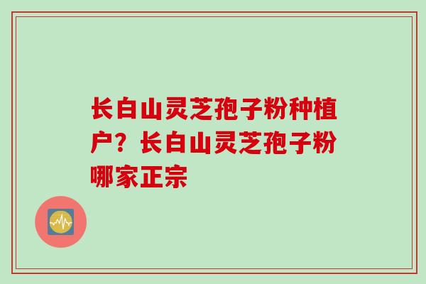 长白山灵芝孢子粉种植户?长白山灵芝孢子粉哪家正宗 长白山灵芝孢子粉种植户?长白山灵芝孢子粉哪家正宗