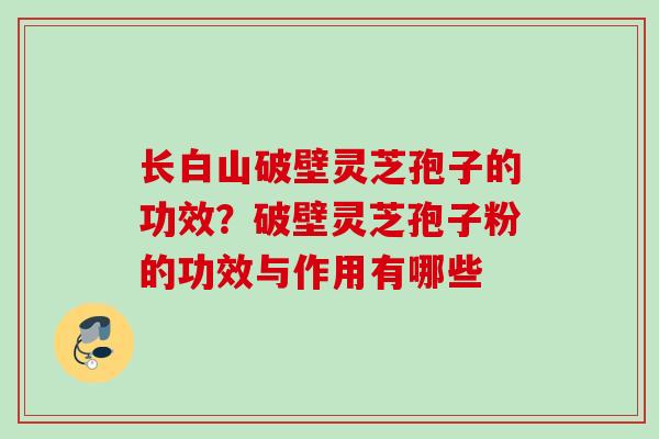 长白山破壁灵芝孢子的功效？破壁灵芝孢子粉的功效与作用有哪些