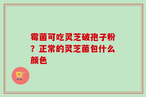 霉菌可吃灵芝破孢子粉?正常的灵芝菌包什么颜色 霉菌可吃灵芝破孢子粉?正常的灵芝菌包什么颜色