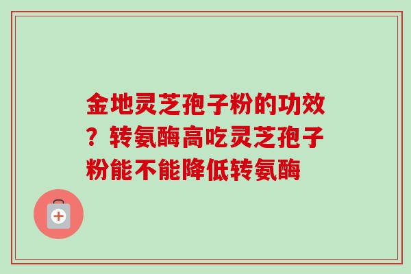 金地灵芝孢子粉的功效？转氨酶高吃灵芝孢子粉能不能降低转氨酶
