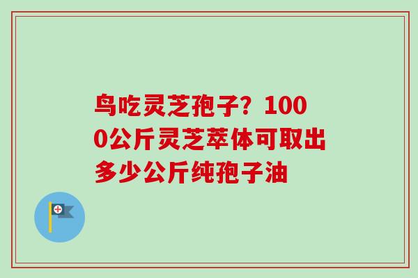 鸟吃灵芝孢子？1000公斤灵芝萃体可取出多少公斤纯孢子油