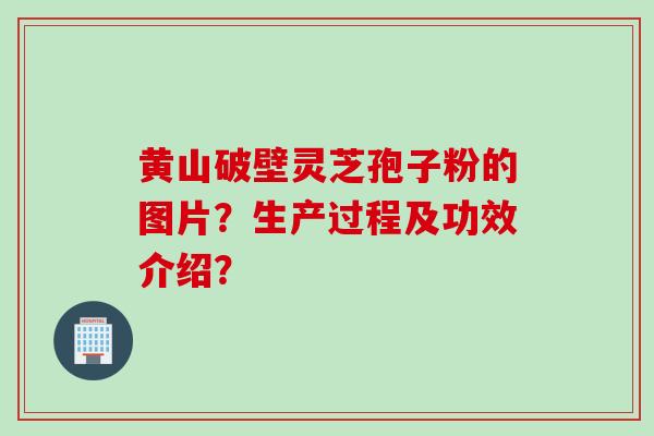 黄山破壁灵芝孢子粉的图片？生产过程及功效介绍？