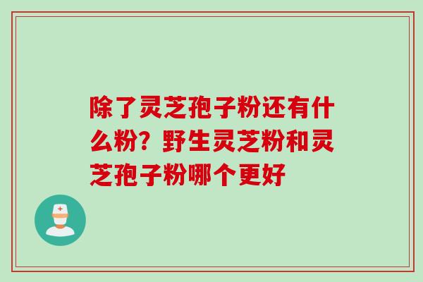 除了灵芝孢子粉还有什么粉？野生灵芝粉和灵芝孢子粉哪个更好