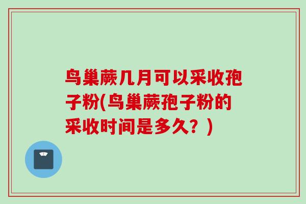 鸟巢蕨几月可以采收孢子粉(鸟巢蕨孢子粉的采收时间是多久？)