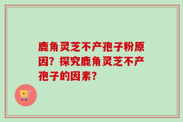 鹿角灵芝不产孢子粉原因？探究鹿角灵芝不产孢子的因素？