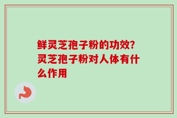 鲜灵芝孢子粉的功效？灵芝孢子粉对人体有什么作用