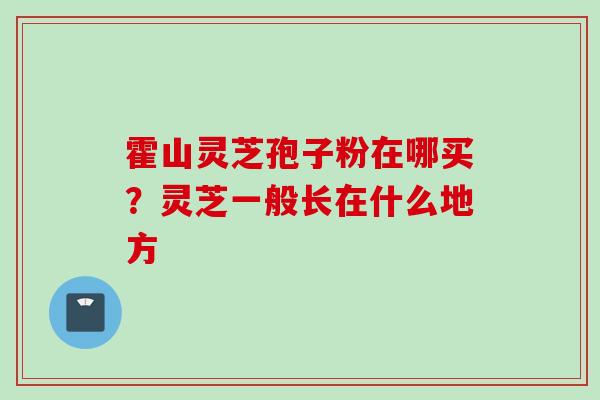 霍山灵芝孢子粉在哪买？灵芝一般长在什么地方