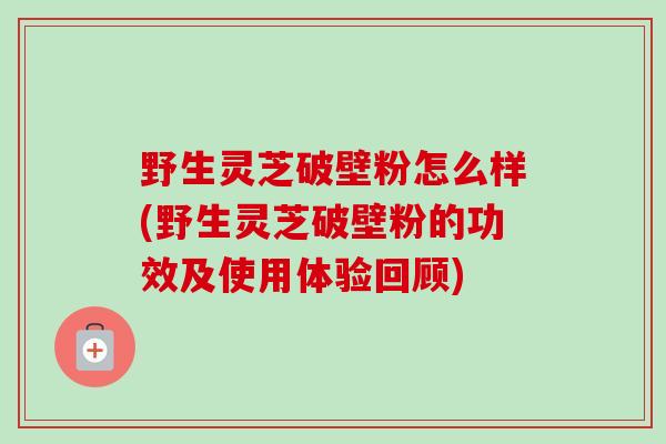 野生灵芝破壁粉怎么样(野生灵芝破壁粉的功效及使用体验回顾)