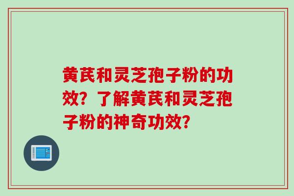 黄芪和灵芝孢子粉的功效？了解黄芪和灵芝孢子粉的神奇功效？
