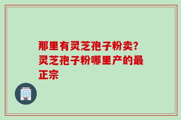 那里有灵芝孢子粉卖？灵芝孢子粉哪里产的正宗