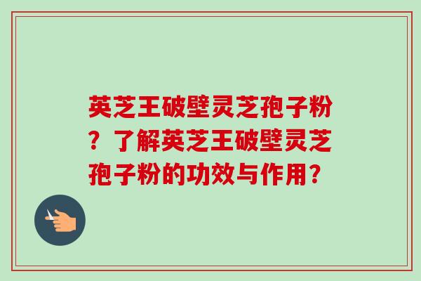 英芝王破壁灵芝孢子粉？了解英芝王破壁灵芝孢子粉的功效与作用？