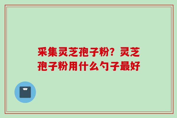 采集灵芝孢子粉？灵芝孢子粉用什么勺子最好