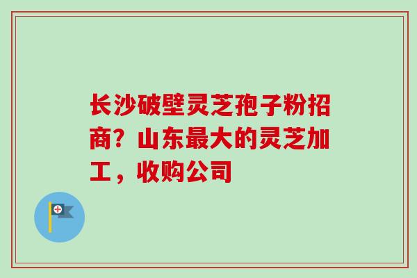 长沙破壁灵芝孢子粉招商？山东最大的灵芝加工，收购公司
