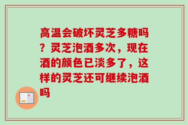 高温会破坏灵芝多糖吗？灵芝泡酒多次，现在酒的颜色已淡多了，这样的灵芝还可继续泡酒吗