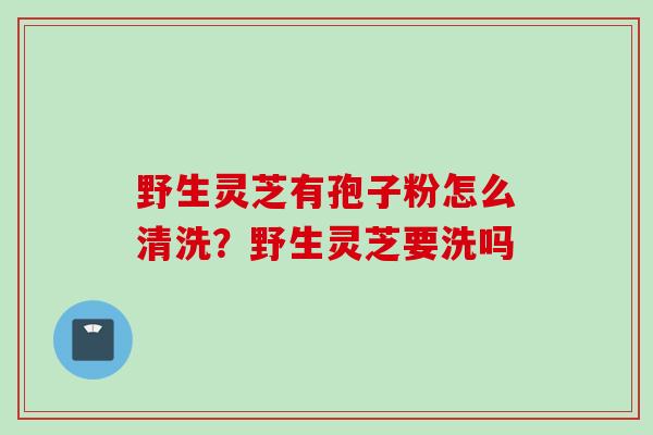 野生灵芝有孢子粉怎么清洗？野生灵芝要洗吗