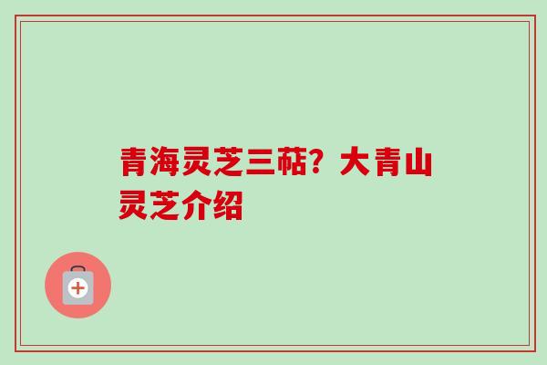 青海灵芝三萜？大青山灵芝介绍
