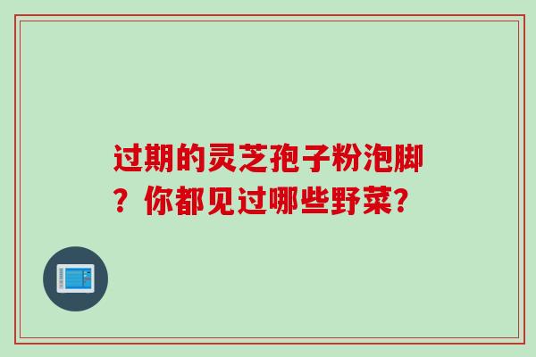 过期的灵芝孢子粉泡脚？你都见过哪些野菜？