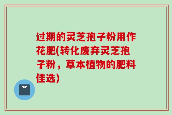 过期的灵芝孢子粉用作花肥(转化废弃灵芝孢子粉，草本植物的肥料佳选)